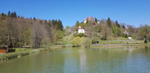 Mirna - grad nad ribnikom, foto Lapego